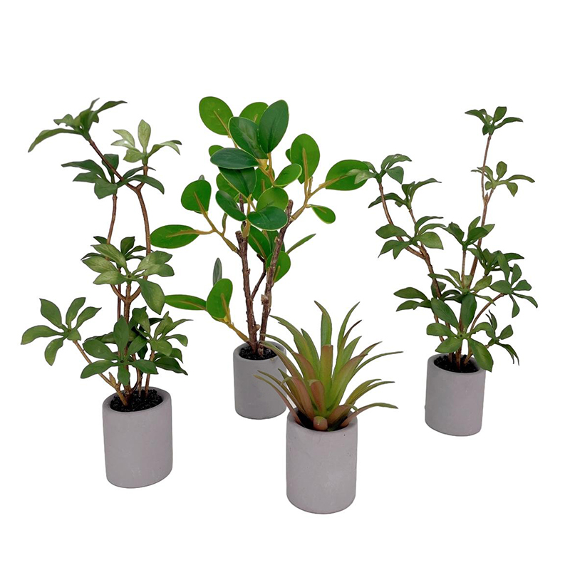 Bonsai Garden Accessories - 1:6 Puppenhaus Miniatur Topfpflanze Grünblättriger Blumentopf
