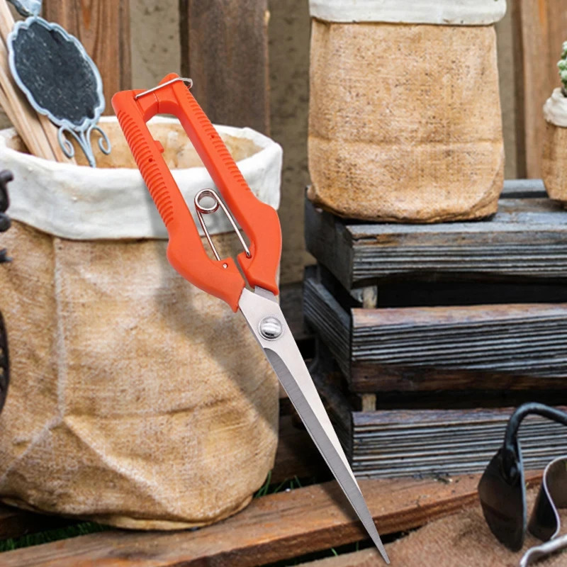 Mehrzweck-Gartenschere – Edels – Bonsai Garden Knife Bewertung und Preis