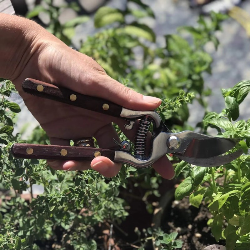 1 Stück Gartenschere mit Holzg – Bonsai Garden Knife Bewertung und Preis