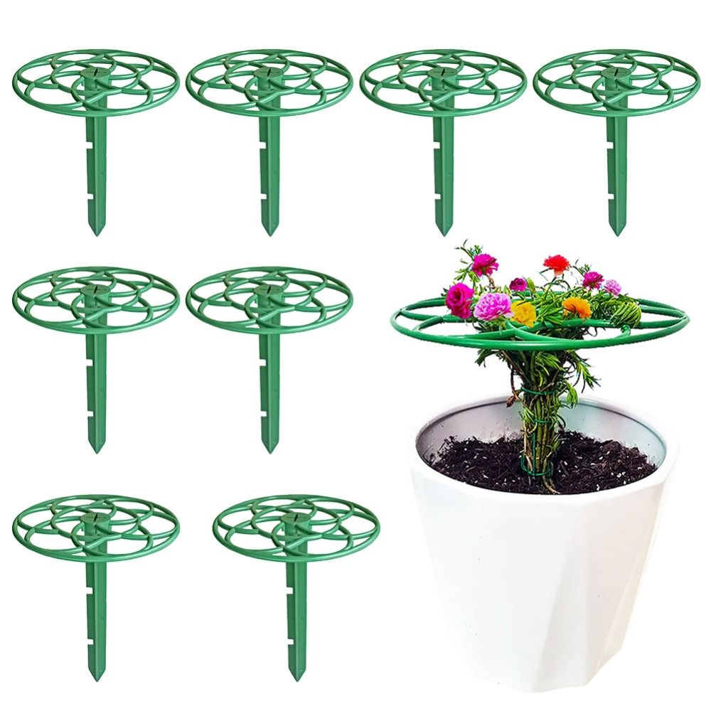 S/M/L Bonsai-Klettergerüst Sta – Bonsai Garden Plants Bewertung und Preis