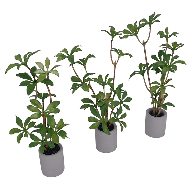 1:6 Puppenhaus Miniatur Topfpf – Bonsai Garden Accessories Bewertung und Preis