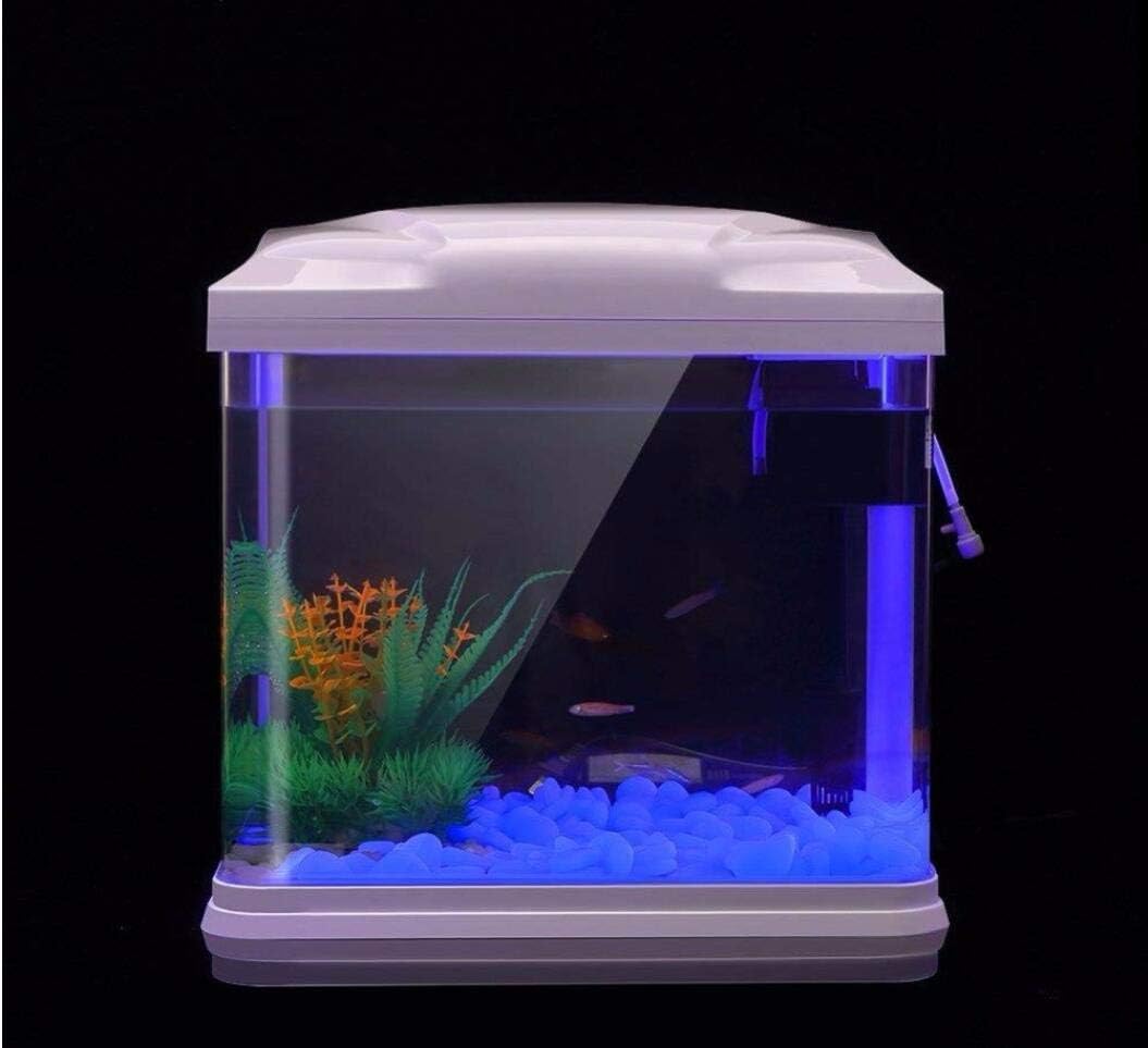Aquarium-Felsen leuchten blaue – Bonsai Garden Accessories Bewertung und Preis