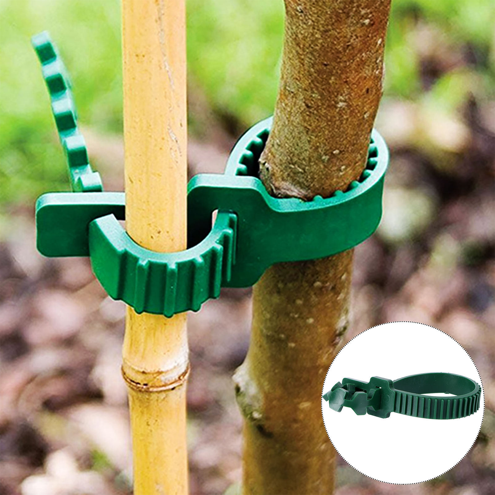 20 Stück Rankenbefestigungssch – Bonsai Garden Plants Bewertung und Preis