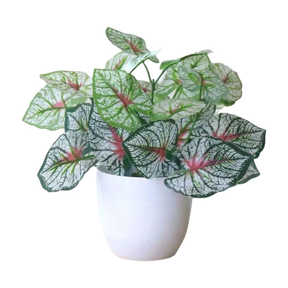 Mini Künstliche Topfpflanzen B – Bonsai Garden Accessories Bewertung und Preis