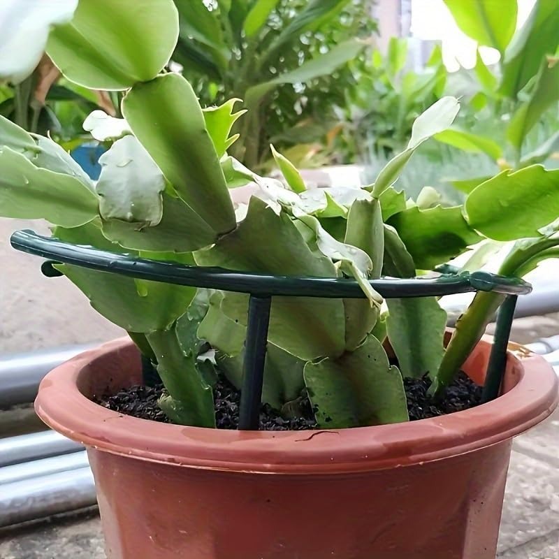 30-1 Stück Kunststoff-Pflanzen – Bonsai Garden Accessories Bewertung und Preis