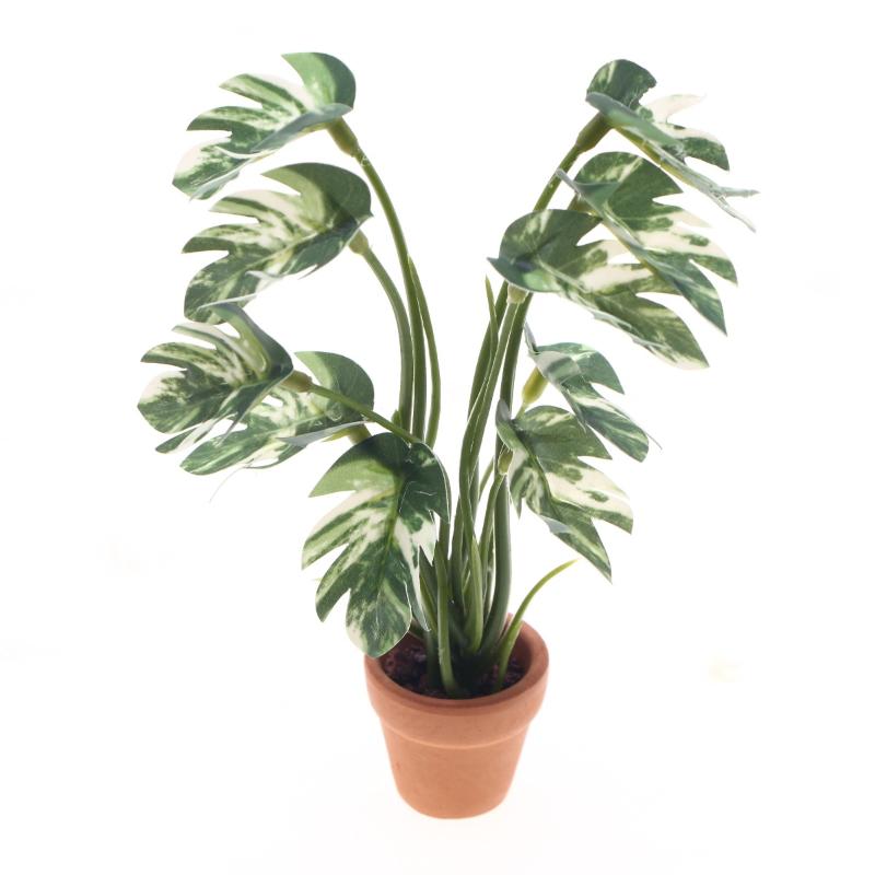 Neu. 1 Stück 1/12 Puppenhaus-S – Bonsai Garden Plants Bewertung und Preis