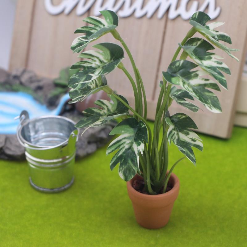 Neu. 1 Stück 1/12 Puppenhaus-S – Bonsai Garden Plants Bewertung und Preis