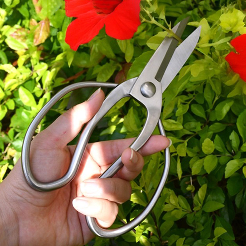 Edelstahl Gartenschere Tragbar – Bonsai Garden Knife Bewertung und Preis